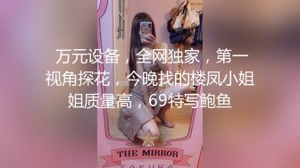 极品大奶美乳系列-高颜值超大胸器 大奶如牛  【274V】 (23)