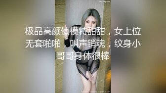 最新推特极品网红美女『一小只萌宠』大尺度VIP版私拍流出-极限粉嫩露出 玩具速插粉穴