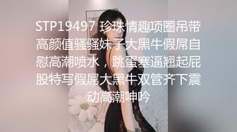 极品孕妇的羞涩性爱 用精液滋润风骚孕妇的子宫 反正都怀孕了直接内射中出