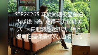 国产麻豆AV 皇家华人 TM0024 天美特别篇 淫母爱肉棒