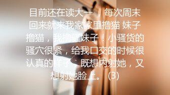 麻豆传媒，突袭女优家MTVQ1-EP13性爱篇肉欲性日惊喜