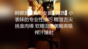 蠢沫沫 私人女仆