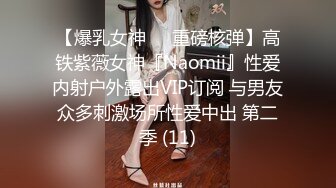 【爆乳女神❤️重磅核弹】高铁紫薇女神『Naomii』性爱内射户外露出VIP订阅 与男友众多刺激场所性爱中出 第二季 (11)