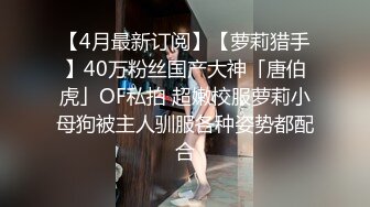 外淑女内骚的少妇