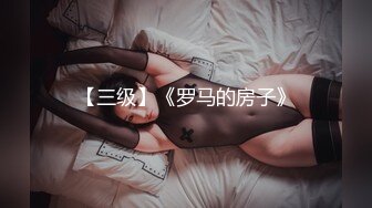 【三级】《罗马的房子》