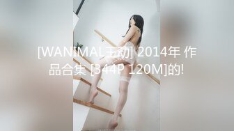 [WANIMAL王动] 2014年 作品合集 [344P 120M]的!