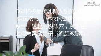 布丁大法 爱心女仆