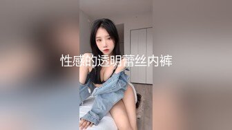 性感的透明蕾丝内裤