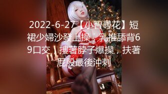 2022-6-27【小智尋花】短裙少婦沙發上操，乳推舔背69口交，摟著脖子爆操，扶著屁股最後沖刺