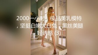 2000一小时，极品美乳模特，坚挺白嫩大白兔，黑丝美腿好诱惑 (3)