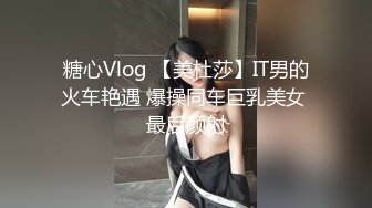 糖心Vlog 【美杜莎】IT男的火车艳遇 爆操同车巨乳美女 最后颜射