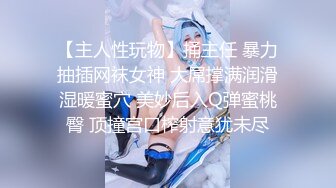 网调母狗1