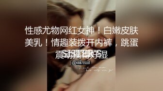 贺岁：女上后入之一