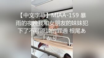 麻豆传媒 MPG005 解决巨乳阿姨的性烦恼 夏晴子