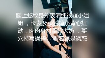 【新片速遞】 知性肥坦轻熟女,酒店受虐调教❤️❤️美女性奴。老总话不多：水好多呀。 白富美：你艹得厉害当然水多啦 [1.1G/MP4/02:18:54]