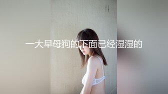 麻花辫齐逼小短裙外围美女 脱掉内裤隔着衣服摸奶子 蹲着口交侧入抽插