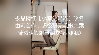 ★☆稀缺资源☆★推特30万粉母狗【Ella小骚狐】野外露出 调教 多P付费订阅 (7)