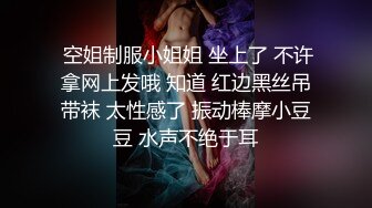  空姐制服小姐姐 坐上了 不许拿网上发哦 知道 红边黑丝吊带袜 太性感了 振动棒摩小豆豆 水声不绝于耳