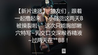 麻豆传媒豪乳女神「吴梦梦」无套系列《调情酒吧》微醺后的疯狂性爱 狂插口爆裹射 高清720P原版首发