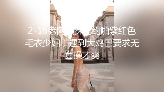 风情少妇爱棒棒224(1)