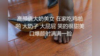 麻豆传媒-素人访谈-大尺度模特初次下海