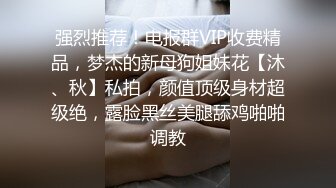 强烈推荐！电报群VIP收费精品，梦杰的新母狗姐妹花【沐、秋】私拍，颜值顶级身材超级绝，露脸黑丝美腿舔鸡啪啪调教