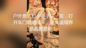 户外景区和小妻子来一发，打开车门就地战斗，这肏逼境界是真刺激呀！