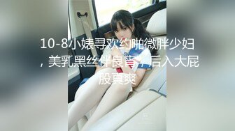 10-8小婊寻欢约啪微胖少妇，美乳黑丝伴良宵，后入大屁股真爽