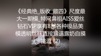 《经典绝_版收_藏四》尺度最大一期模_特网鼻祖AISS爱丝钻石VIP享有8部各种极品美模透明丝袜直接露逼露奶自摸挑逗 (2)