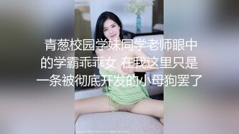 我的小马子28