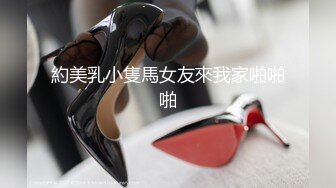 推特网黄巨乳人妻熟女赤鳞狂舞凤鳞秘技交媾篇复刻性爱宝典各种招式