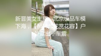 新晋美女主播，北京极品车模下海，【醉舞烟花赏花容】户外露出，车震