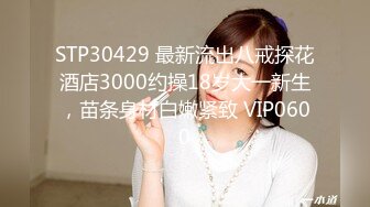  狼哥雇佣黑人偷拍2800极品御姐 小黑犹如饿狼狠干了妹子几十分钟