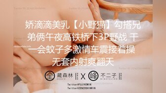 淫荡对白销魂呻吟，推特约炮大咖【夏次健】自传，调教爆肏巨乳肥臀小母狗，无套暴力输出肏到尖叫喊爸爸 (8)