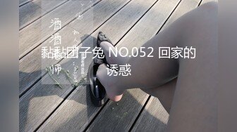 黏黏团子兔 NO.052 回家的诱惑