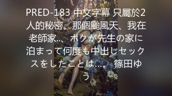 PRED-183 中文字幕 只屬於2人的秘密。那個颱風天、我在老師家..、ボクが先生の家に泊まって何度も中出しセックスをしたことは…。 篠田ゆう