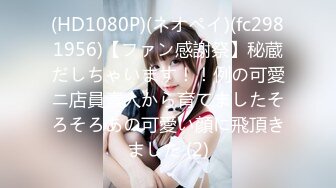 NNPJ-569 新●歌●伎町大●保公園 立ちんぼ潜入取材 ホ別1.5でナマ中OK交縁女子を撮影