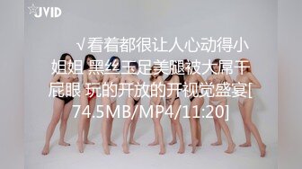 公司的女神护士