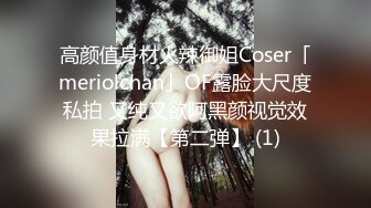 高颜值身材火辣御姐Coser「meriolchan」OF露脸大尺度私拍 又纯又欲阿黑颜视觉效果拉满【第二弹】 (1)