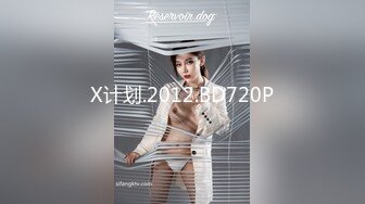 X计划.2012.BD720P