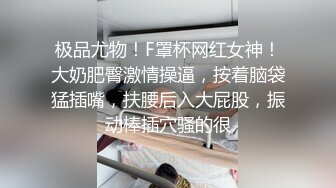 【顶级网红推女郎】超影像顶流极品网红『艾栗栗』最新火爆私拍 男友视角跪舔 插肛喷水 自虐口爱篇 (5)