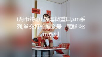 (两币特惠) 轻虐微重口,sm系列,拳交打桩被宠爱--属鲜肉sm系列