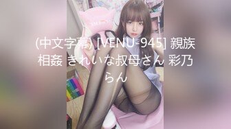 (中文字幕) [VENU-945] 親族相姦 きれいな叔母さん 彩乃らん