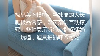 高能预警！比女人还女人极品网红CDTS【sehe】私拍，能攻能守3P4P真男假女混乱性交人体蜈蚣，相当淫乱视觉盛宴