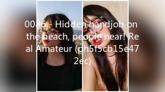 0086 - Hidden handjob on the beach, people near! Real Amateur (ph5f5cb15e472ec)