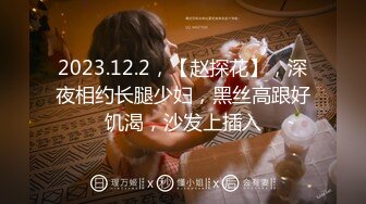 2023.12.2，【赵探花】，深夜相约长腿少妇，黑丝高跟好饥渴，沙发上插入