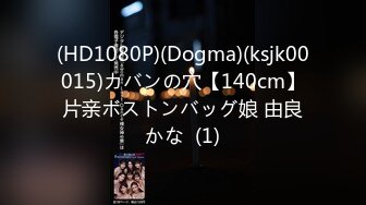 (HD1080P)(Dogma)(ksjk00015)カバンの穴【140cm】片亲ボストンバッグ娘 由良かな  (1)