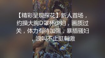 【精彩呈现探花】新人首场，约操大胸D罩杯少妇，画质过关，体力有待加强，暴插骚妇，浪叫不止挺刺激