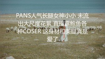 PANS人气长腿女神小小 未流出大尺度花絮 直接露鲍鱼各种COSER 这身材和美腿真是爱了