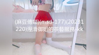 (麻豆傳媒)(msd-177)(20231220)溼滑御姐的茶藝服務-kk